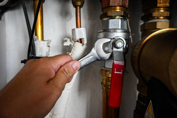 Best Plumbing Inspection Services  in Collinsvle, IL